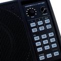 TC-Helicon VoiceSolo FX150-3.jpg|Соляр Мар'ян 